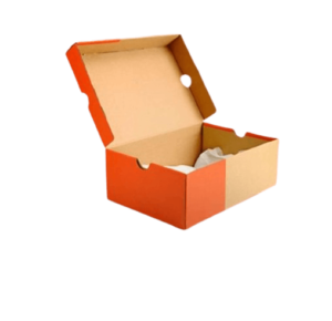 WhatsApp_Image_2024-03-27_at_3.03.10_PM-removebg-preview (1)